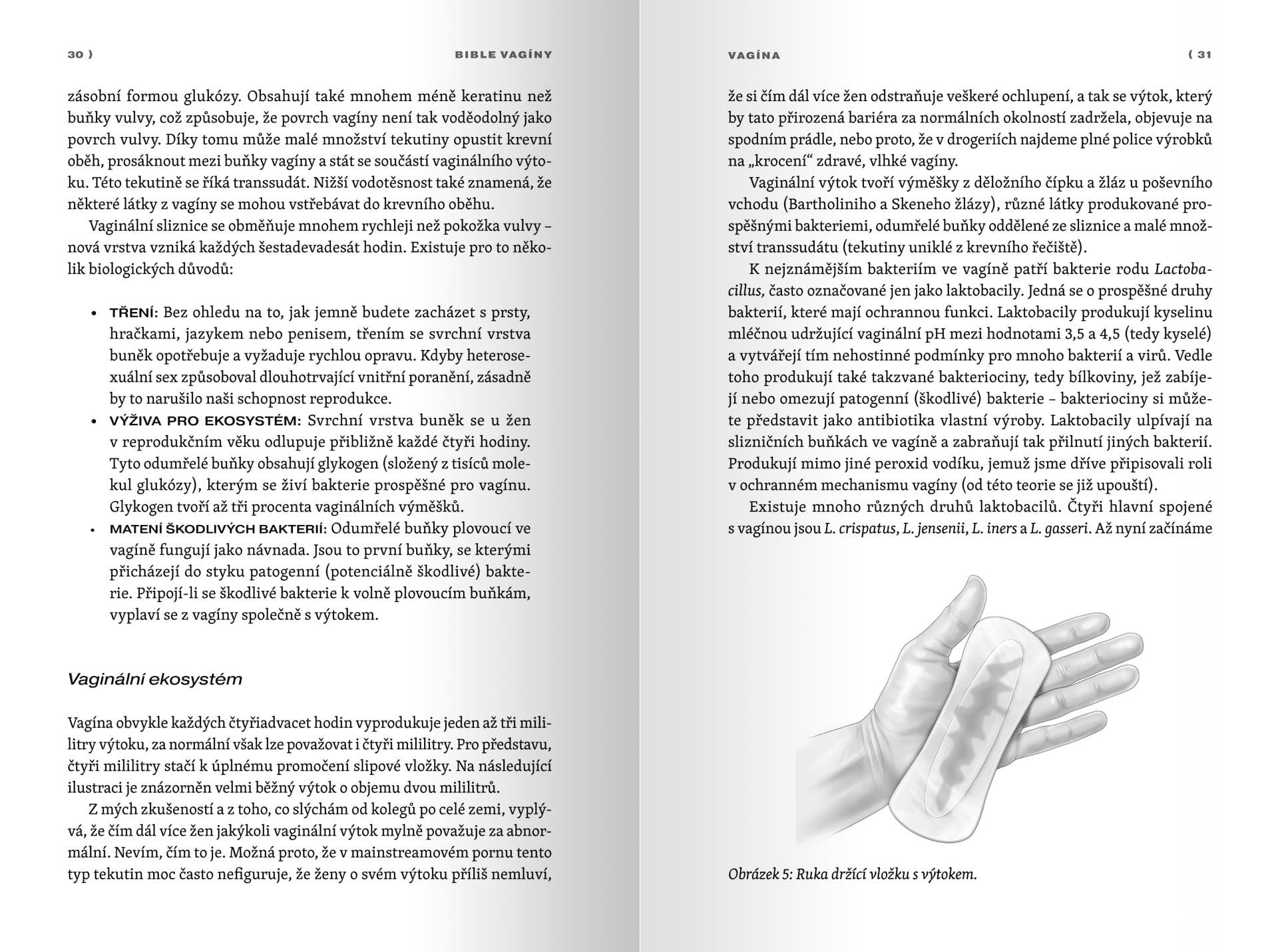 Bible vagíny (K1028) - náhled 4