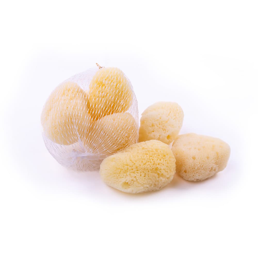 3PACK Kosmetická mořská houba Caribbean Sun 3-5 cm (SPS3171)